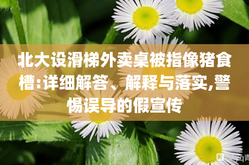 北大設(shè)滑梯外賣桌被指像豬食槽:詳細(xì)解答、解釋與落實,警惕誤導(dǎo)的假宣傳