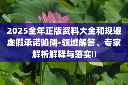 2025全年正版資料大全和規(guī)避虛假承諾陷阱-領(lǐng)域解答、專家解析解釋與落實(shí)?
