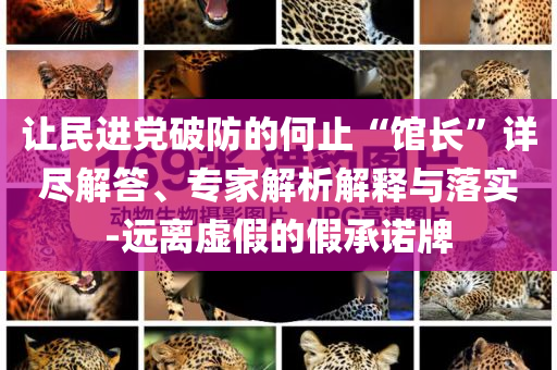 讓民進(jìn)黨破防的何止“館長(zhǎng)”詳盡解答、專家解析解釋與落實(shí)-遠(yuǎn)離虛假的假承諾牌