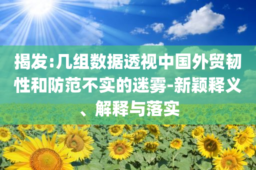揭發(fā):幾組數(shù)據(jù)透視中國(guó)外貿(mào)韌性和防范不實(shí)的迷霧-新穎釋義、解釋與落實(shí)