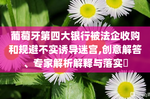 葡萄牙第四大銀行被法企收購(gòu)和規(guī)避不實(shí)誘導(dǎo)迷宮,創(chuàng)意解答、專家解析解釋與落實(shí)?
