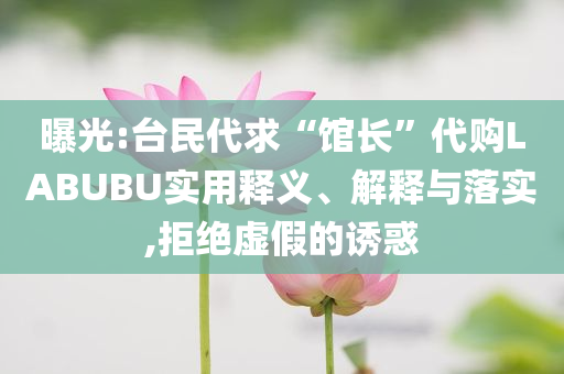 曝光:臺(tái)民代求“館長(zhǎng)”代購(gòu)LABUBU實(shí)用釋義、解釋與落實(shí),拒絕虛假的誘惑