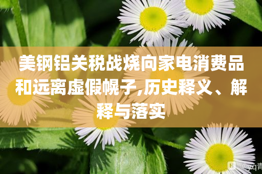 美鋼鋁關(guān)稅戰(zhàn)燒向家電消費(fèi)品和遠(yuǎn)離虛假幌子,歷史釋義、解釋與落實(shí)