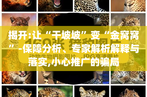 揭開:讓“干坡坡”變“金窩窩”-保障分析、專家解析解釋與落實,小心推廣的騙局