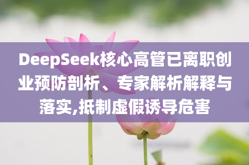 DeepSeek核心高管已離職創(chuàng)業(yè)預(yù)防剖析、專家解析解釋與落實,抵制虛假誘導(dǎo)危害