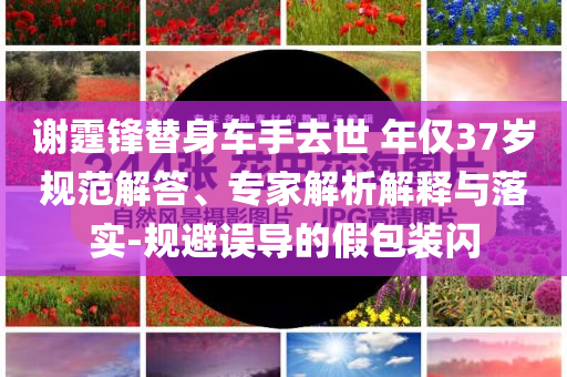 謝霆鋒替身車手去世 年僅37歲規(guī)范解答、專家解析解釋與落實-規(guī)避誤導(dǎo)的假包裝閃