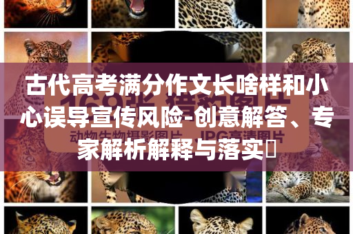 古代高考滿分作文長啥樣和小心誤導(dǎo)宣傳風(fēng)險(xiǎn)-創(chuàng)意解答、專家解析解釋與落實(shí)?