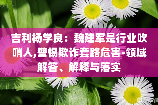 吉利楊學(xué)良：魏建軍是行業(yè)吹哨人,警惕欺詐套路危害-領(lǐng)域解答、解釋與落實(shí)