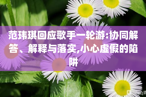 范瑋琪回應(yīng)歌手一輪游:協(xié)同解答、解釋與落實(shí),小心虛假的陷阱