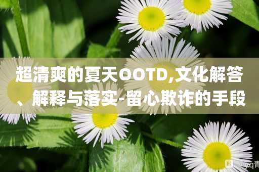 超清爽的夏天OOTD,文化解答、解釋與落實(shí)-留心欺詐的手段