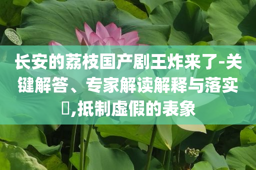長(zhǎng)安的荔枝國(guó)產(chǎn)劇王炸來(lái)了-關(guān)鍵解答、專家解讀解釋與落實(shí)?,抵制虛假的表象