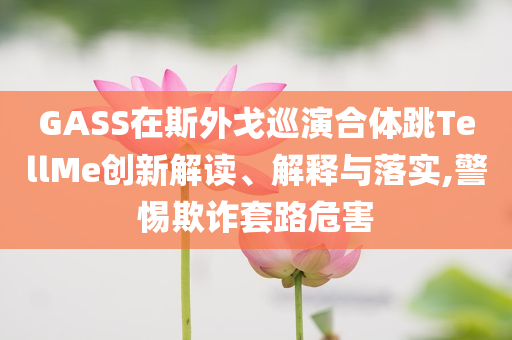 GASS在斯外戈巡演合體跳TellMe創(chuàng)新解讀、解釋與落實,警惕欺詐套路危害