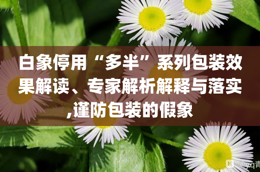 白象停用“多半”系列包裝效果解讀、專家解析解釋與落實,謹防包裝的假象
