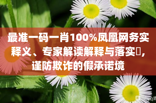 最準(zhǔn)一碼一肖100%鳳凰網(wǎng)務(wù)實(shí)釋義、專家解讀解釋與落實(shí)?,謹(jǐn)防欺詐的假承諾境