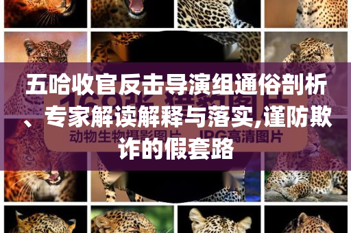 五哈收官反擊導(dǎo)演組通俗剖析、專家解讀解釋與落實(shí),謹(jǐn)防欺詐的假套路