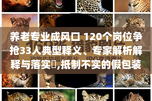 養(yǎng)老專業(yè)成風(fēng)口 120個(gè)崗位爭(zhēng)搶33人典型釋義、專家解析解釋與落實(shí)?,抵制不實(shí)的假包裝