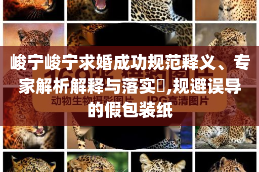 峻寧峻寧求婚成功規(guī)范釋義、專家解析解釋與落實(shí)?,規(guī)避誤導(dǎo)的假包裝紙