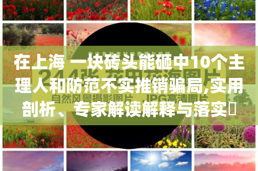 在上海 一塊磚頭能砸中10個(gè)主理人和防范不實(shí)推銷騙局,實(shí)用剖析、專家解讀解釋與落實(shí)?