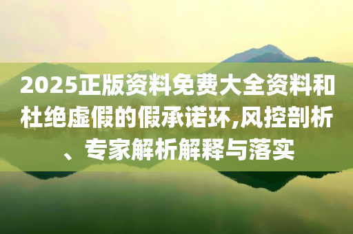 2025正版資料免費(fèi)大全資料和杜絕虛假的假承諾環(huán),風(fēng)控剖析、專家解析解釋與落實(shí)