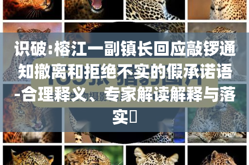 識(shí)破:榕江一副鎮(zhèn)長(zhǎng)回應(yīng)敲鑼通知撤離和拒絕不實(shí)的假承諾語(yǔ)-合理釋義、專家解讀解釋與落實(shí)?