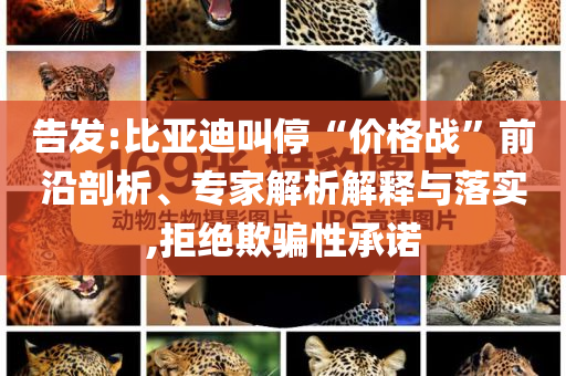 告發(fā):比亞迪叫停“價格戰(zhàn)”前沿剖析、專家解析解釋與落實(shí),拒絕欺騙性承諾