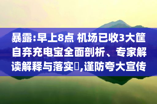 暴露:早上8點(diǎn) 機(jī)場(chǎng)已收3大筐自棄充電寶全面剖析、專家解讀解釋與落實(shí)?,謹(jǐn)防夸大宣傳