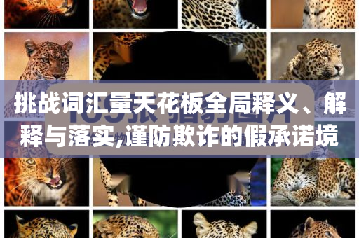 挑戰(zhàn)詞匯量天花板全局釋義、解釋與落實(shí),謹(jǐn)防欺詐的假承諾境