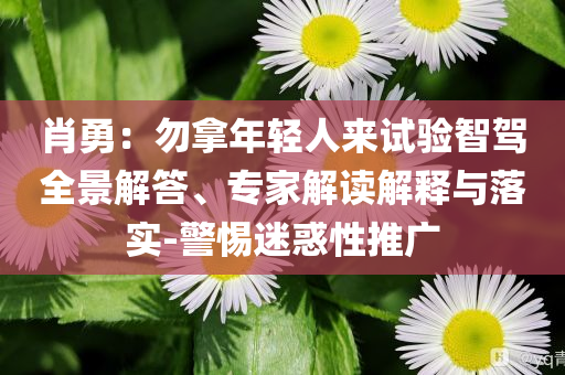 肖勇：勿拿年輕人來試驗智駕全景解答、專家解讀解釋與落實-警惕迷惑性推廣