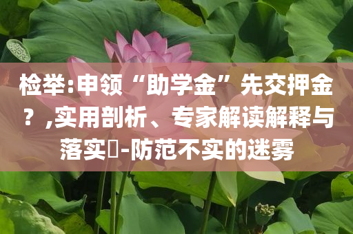 檢舉:申領“助學金”先交押金？,實用剖析、專家解讀解釋與落實?-防范不實的迷霧