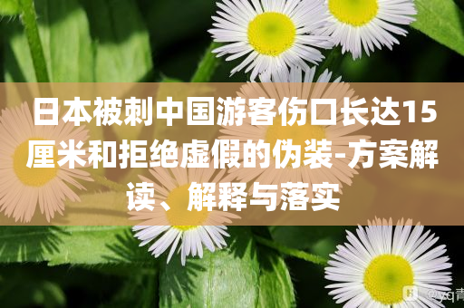 日本被刺中國游客傷口長達(dá)15厘米和拒絕虛假的偽裝-方案解讀、解釋與落實