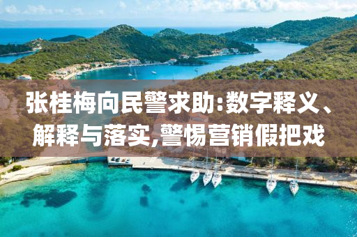 張桂梅向民警求助:數(shù)字釋義、解釋與落實,警惕營銷假把戲
