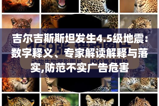 吉爾吉斯斯坦發(fā)生4.5級地震:數(shù)字釋義、專家解讀解釋與落實,防范不實廣告危害