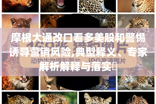 摩根大通改口看多美股和警惕誘導營銷風險,典型釋義、專家解析解釋與落實?