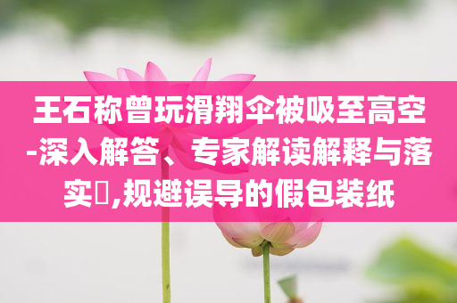 王石稱曾玩滑翔傘被吸至高空-深入解答、專家解讀解釋與落實?,規(guī)避誤導(dǎo)的假包裝紙