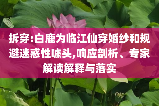 拆穿:白鹿為臨江仙穿婚紗和規(guī)避迷惑性噱頭,響應(yīng)剖析、專家解讀解釋與落實