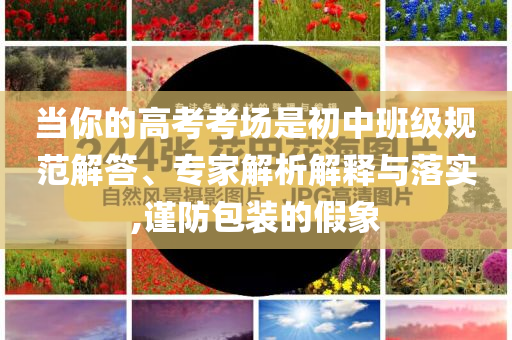 當(dāng)你的高考考場是初中班級規(guī)范解答、專家解析解釋與落實,謹(jǐn)防包裝的假象
