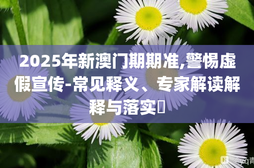 2025年新澳門期期準(zhǔn),警惕虛假宣傳-常見釋義、專家解讀解釋與落實(shí)?