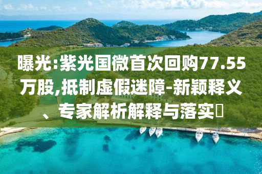 曝光:紫光國微首次回購77.55萬股,抵制虛假迷障-新穎釋義、專家解析解釋與落實?