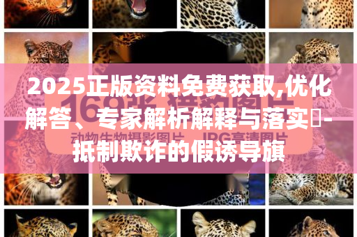 2025正版資料免費獲取,優(yōu)化解答、專家解析解釋與落實?-抵制欺詐的假誘導(dǎo)旗