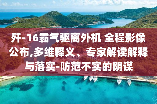 殲-16霸氣驅(qū)離外機 全程影像公布,多維釋義、專家解讀解釋與落實-防范不實的陰謀