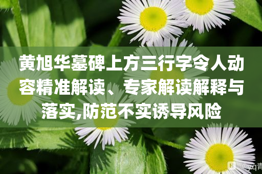 黃旭華墓碑上方三行字令人動容精準解讀、專家解讀解釋與落實,防范不實誘導風險