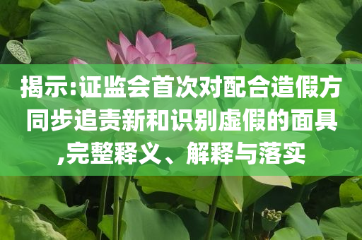 揭示:證監(jiān)會首次對配合造假方同步追責(zé)新和識別虛假的面具,完整釋義、解釋與落實