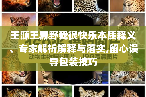 王源王赫野我很快樂本質(zhì)釋義、專家解析解釋與落實(shí),留心誤導(dǎo)包裝技巧