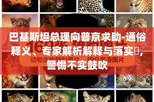 巴基斯坦總理向普京求助-通俗釋義、專家解析解釋與落實(shí)?,警惕不實(shí)鼓吹