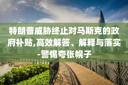 特朗普威脅終止對(duì)馬斯克的政府補(bǔ)貼,高效解答、解釋與落實(shí)-警惕夸張幌子