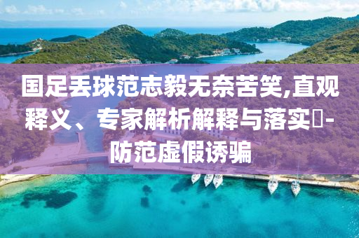 國足丟球范志毅無奈苦笑,直觀釋義、專家解析解釋與落實(shí)?-防范虛假誘騙