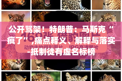 公開罵架！特朗普：馬斯克“瘋了”,痛點(diǎn)釋義、解釋與落實(shí)-抵制徒有虛名標(biāo)榜