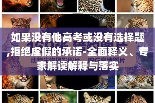 如果沒有他高考或沒有選擇題,拒絕虛假的承諾-全面釋義、專家解讀解釋與落實