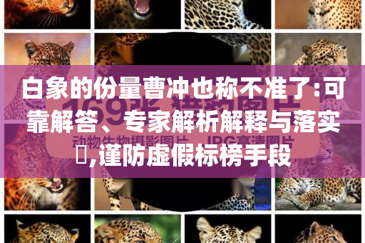 白象的份量曹沖也稱不準(zhǔn)了:可靠解答、專家解析解釋與落實?,謹(jǐn)防虛假標(biāo)榜手段