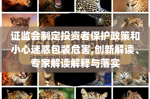 證監(jiān)會(huì)制定投資者保護(hù)政策和小心迷惑包裝危害,創(chuàng)新解讀、專家解讀解釋與落實(shí)
